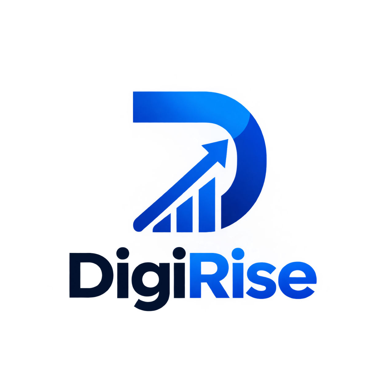 DigiRise